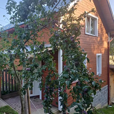 Карпатський котедж Karpatian cottage Ворохта Экстерьер фото