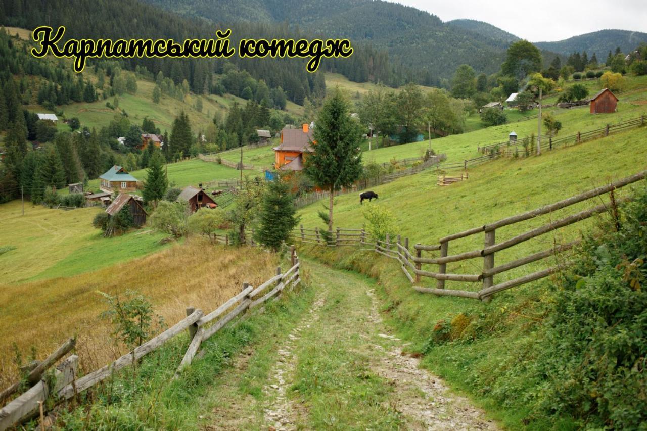 Holiday home карпатський Karpatian