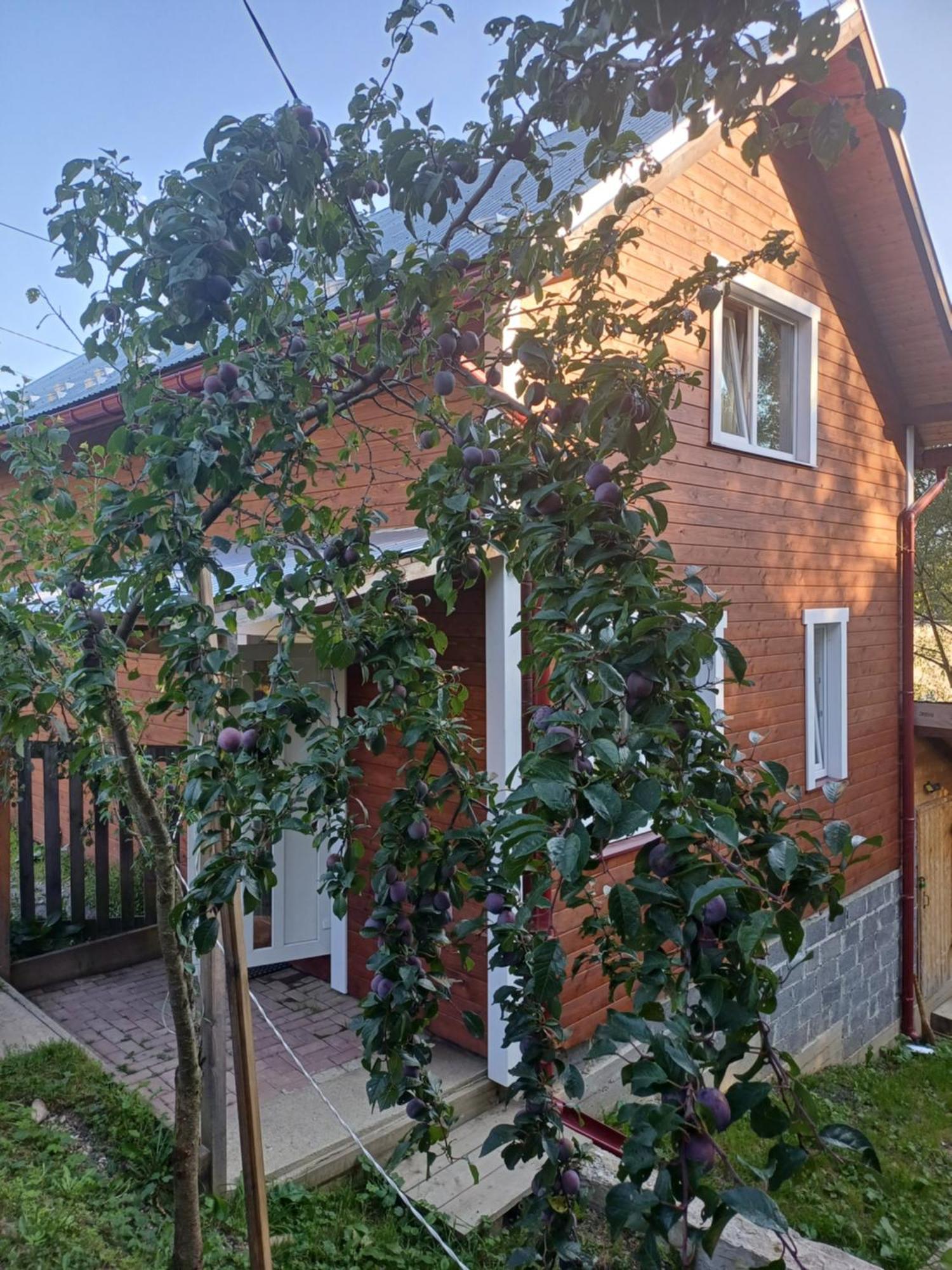 карпатський Karpatian Holiday home Vorokhta